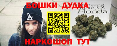 spice Рязань